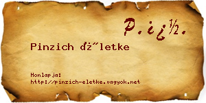 Pinzich Életke névjegykártya